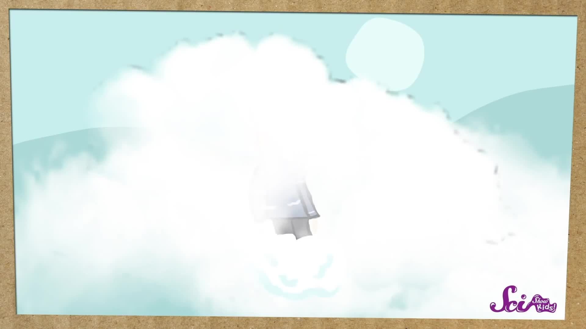 Where Does Fog Come From? Weather for Kids